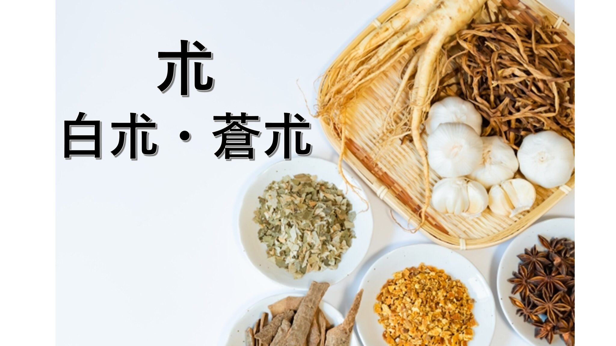 朮（白朮・蒼朮） | 漢方の見方