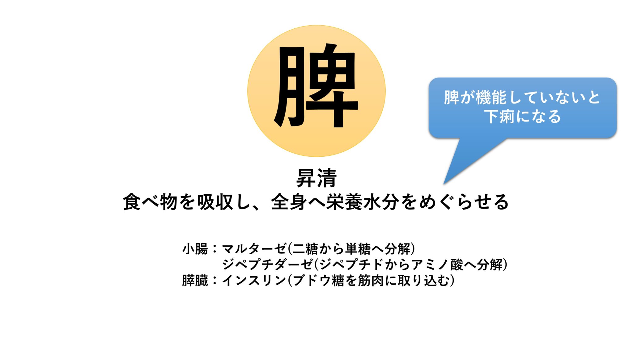 脾 | 漢方の見方